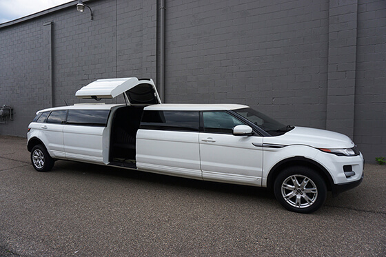 airport limo service