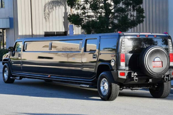 luxurious party buses